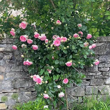 D'hotes Kayros B&B Rugney