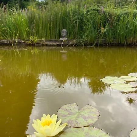 D'hotes Kayros B&B 2*