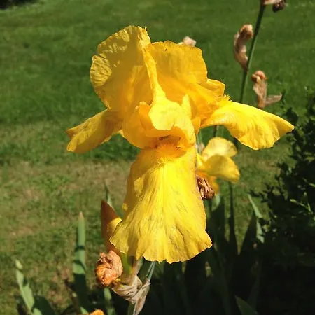 B&B D'hotes Kayros 2*