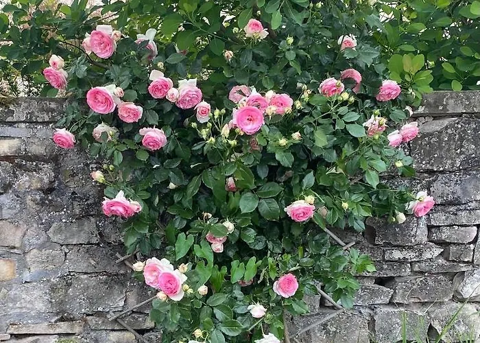 D'hotes Kayros Bed & Breakfast Rugney