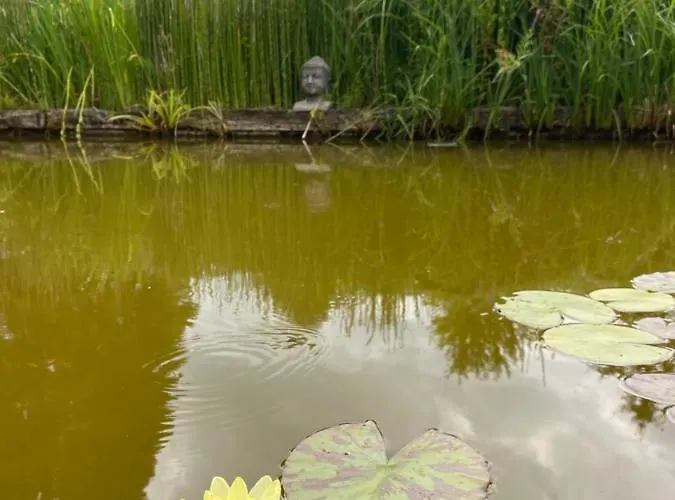 D'hotes Kayros Bed & Breakfast 2*