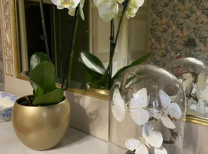 Bed & Breakfast D'hotes Kayros Rugney