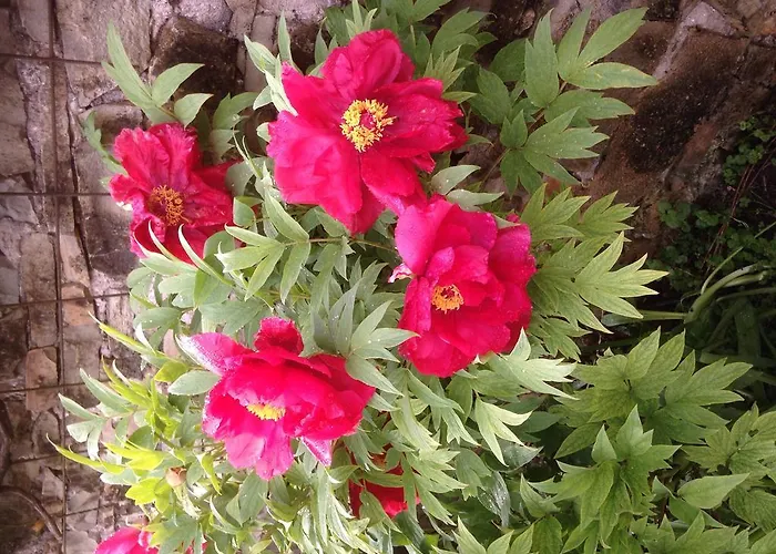 D'hotes Kayros Bed & Breakfast Rugney