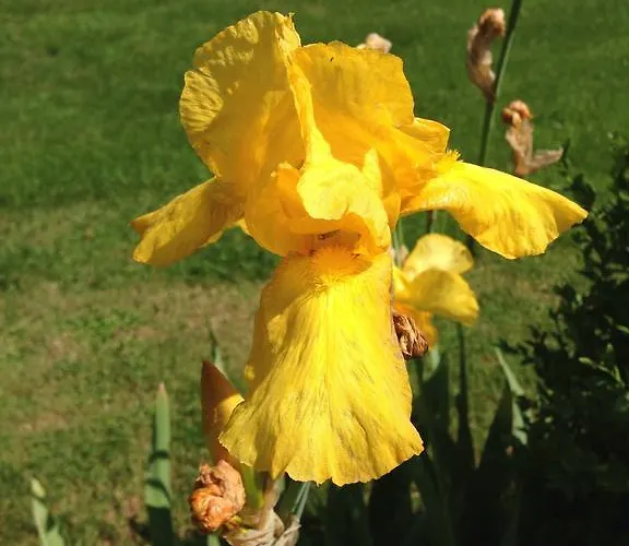 Bed & Breakfast D'hotes Kayros 2*