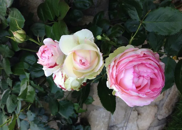 Bed & Breakfast D'hotes Kayros Rugney