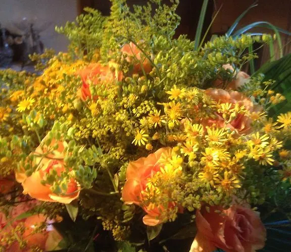 Bed & Breakfast D'hotes Kayros 2*